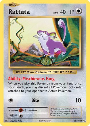 Rattata 066/108 XY Evolutions - Common