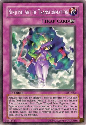 Ninjitsu Art of Transformation (AST-052) - Ancient Sanctuary 1st Edition