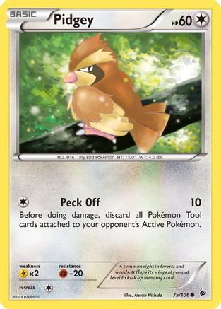 Pidgey 075/106 XY Flashfire - Common