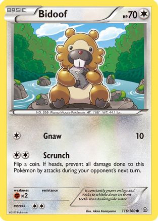 Bidoof 116/160 XY Primal Clash - Common