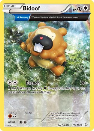 Bidoof (Alpha) 117/160 - Reverse Holofoil XY Primal Clash - Uncommon
