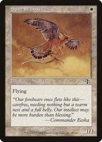 Suntail Hawk (28) [Judgment]