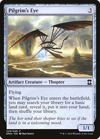 Pilgrim's Eye (229) [Eternal Masters]