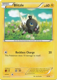 Blitzle (26) (26/30) [XY Trainer Kit: Pikachu Libre & Suicune]