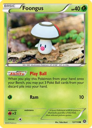 Foongus 012/114  XY  Steam Siege - Common