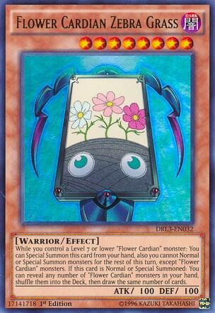 Flower Cardian Zebra Grass (DRL3-EN032) [Dragons of Legend: Unleashed]
