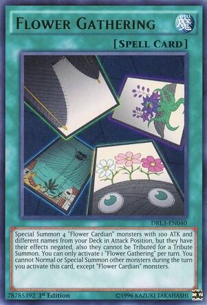Flower Gathering (DRL3-EN040) [Dragons of Legend: Unleashed]