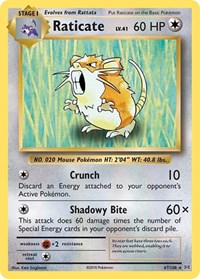 Raticate (67/108) [XY - Evolutions]