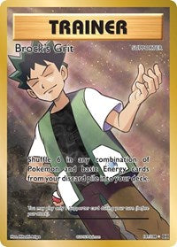 Brock's Grit (Full Art) (107/108) [XY - Evolutions]