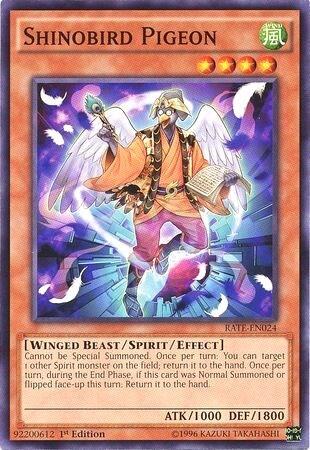 Shinobird Pigeon (RATE-EN024) [Raging Tempest]