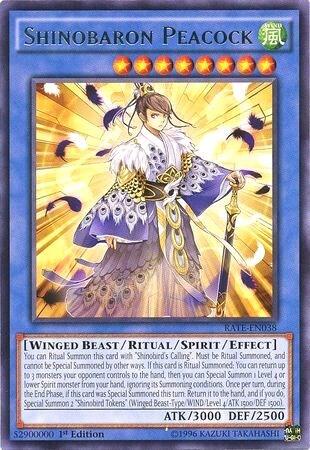 Shinobaron Peacock (RATE-EN038) [Raging Tempest]