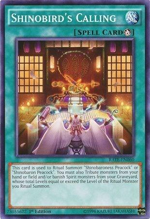 Shinobird's Calling (RATE-EN060) [Raging Tempest]