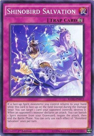 Shinobird Salvation (RATE-EN072) [Raging Tempest]