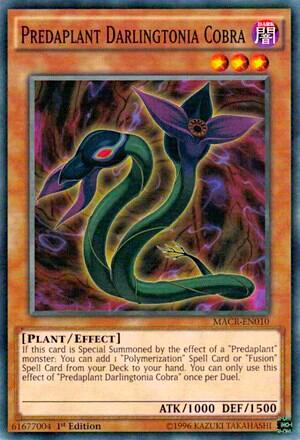 Predaplant Darlingtonia Cobra (MACR-EN010) [Maximum Crisis]