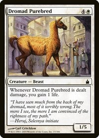 Dromad Purebred (15) [Ravnica: City of Guilds]