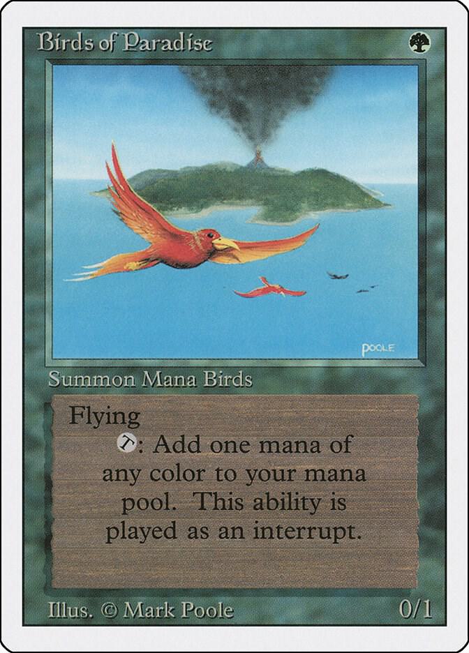 Birds of Paradise [Revised Edition]