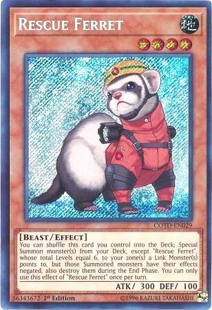 Rescue Ferret (COTD-EN029) [Code of the Duelist]