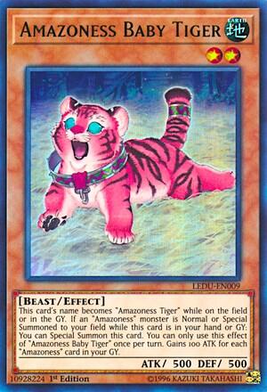 Amazoness Baby Tiger (LEDU-EN009) [Legendary Duelists]