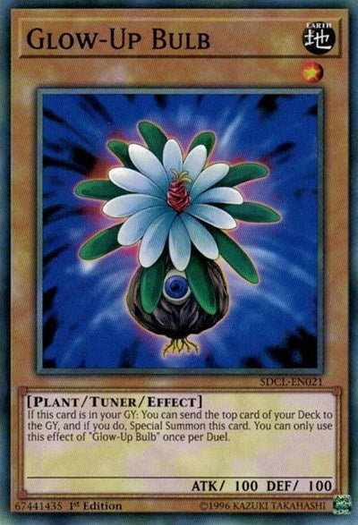 Glow-Up Bulb (SDCL-EN021) [Structure Deck: Cyberse Link]
