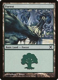 Forest (380) (380) [10th Edition]