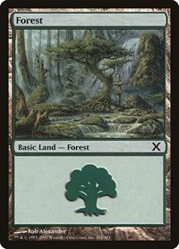 Forest (382) (382) [10th Edition]