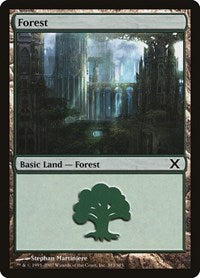 Forest (383) (383) [10th Edition]