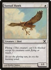 Suntail Hawk (50) [10th Edition]