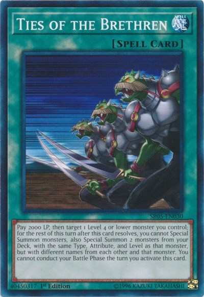 Ties of the Brethren (SR05-EN030) [Structure Deck: Wave of Light]