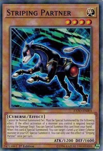 Striping Partner (EXFO-EN003) [Extreme Force]