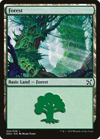 Forest (034) (34) [Duel Decks: Elves vs. Inventors]