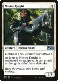 Novice Knight (30) [Core Set 2019]