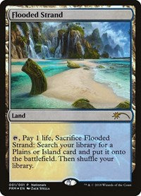 Flooded Strand (1) [Unique and Miscellaneous Promos]