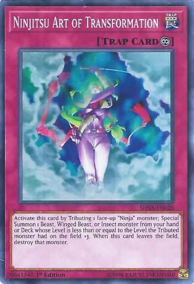 Ninjitsu Art of Transformation (SHVA-EN028) [Shadows in Valhalla]