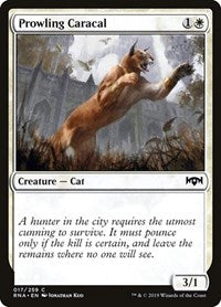 Prowling Caracal (17) [Ravnica Allegiance]