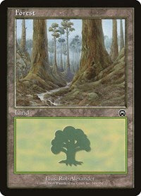 Forest (349) (349) [Mercadian Masques]