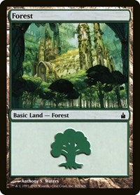 Forest (305) (305) [Ravnica: City of Guilds]