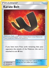 Karate Belt (201/236) [SM - Unified Minds]