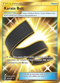 Karate Belt (Secret) (252/236) [SM - Unified Minds]