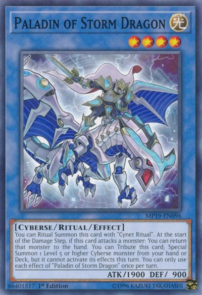 Paladin of Storm Dragon (MP19-EN096) [2019 Gold Sarcophagus Tin Mega Pack]