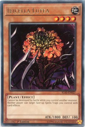 Ibicella Lutea (IGAS-EN027) - Ignition Assault Unlimited