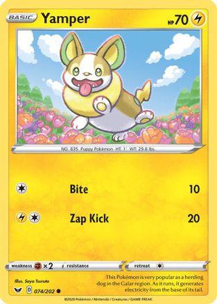 Yamper (074) 074/202  SWSH01 Sword & Shield Base Set - Common