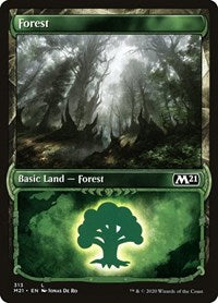 Forest (Showcase) (313) [Core Set 2021]