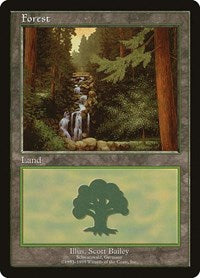 Forest - Schwarzwald (1) [European Lands]
