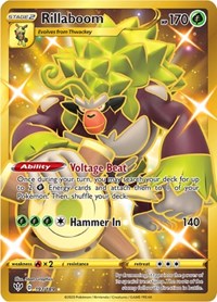 Rillaboom (Secret) (197/189) [SWSH03: Darkness Ablaze]
