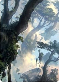 Forest Art Card (19/81) (19) [Art Series: Zendikar Rising]