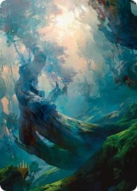 Forest Art Card (21/81) (Gold-Stamped Signature) (21) [Art Series: Zendikar Rising]