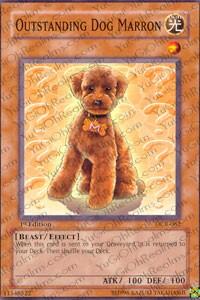 Outstanding Dog Marron (DCR-062) [Dark Crisis]