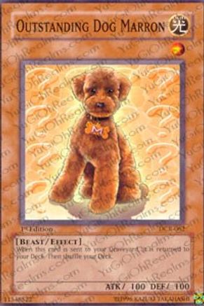 Outstanding Dog Marron (DCR-062) - Dark Crisis 1st Edition