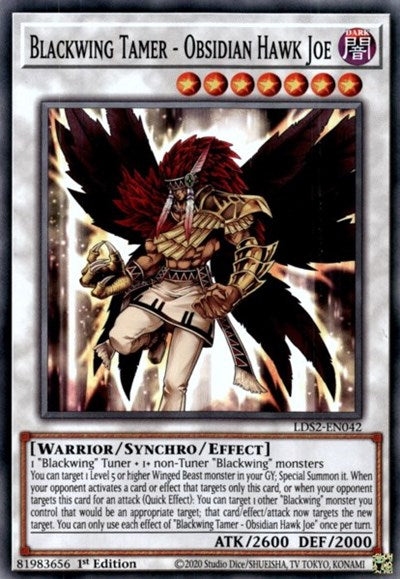 Blackwing Tamer - Obsidian Hawk Joe (LDS2-EN042) [Legendary Duelists: Season 2]