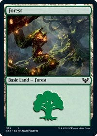 Forest (375) (375) [Strixhaven: School of Mages]